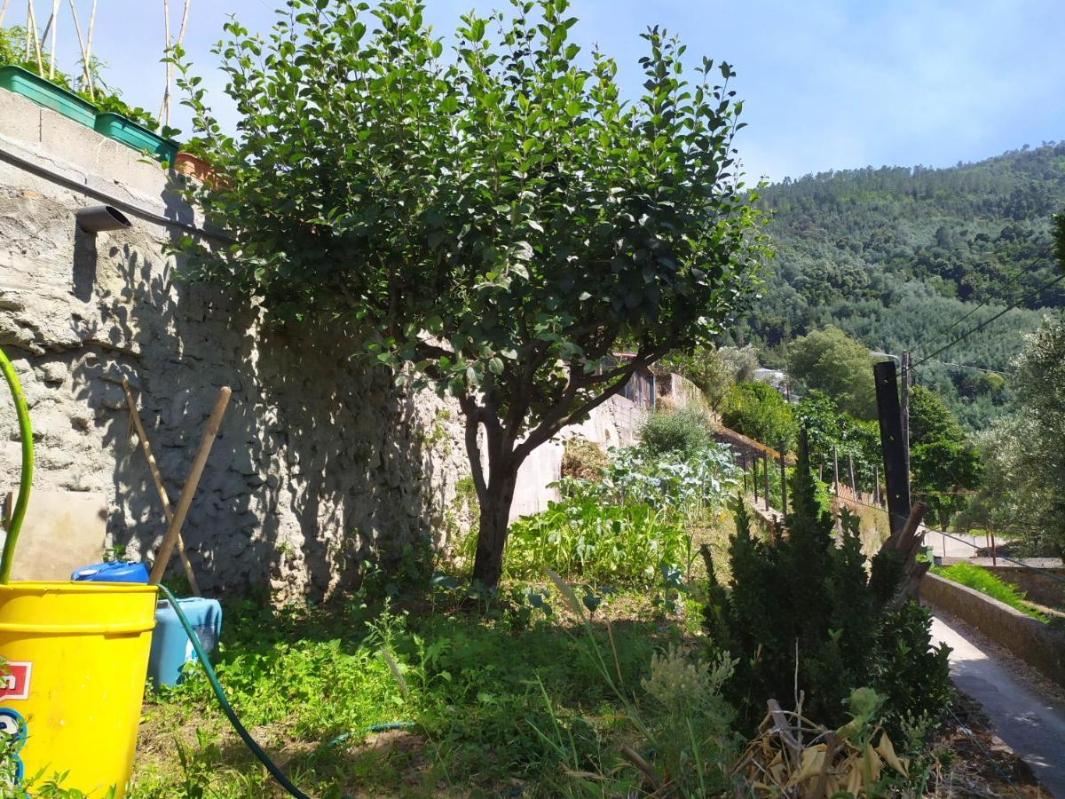 洛萨Casa Da Rota Dos Moinhos公寓 外观 照片